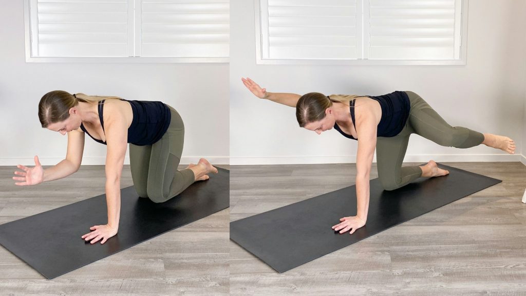 Bird Dog Exercise