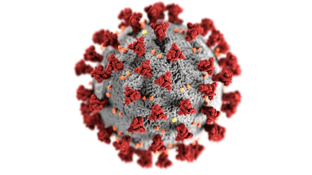 Hepatitis C Vaccine