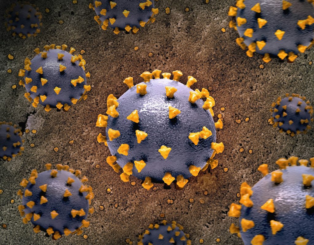 Hepatitis C
