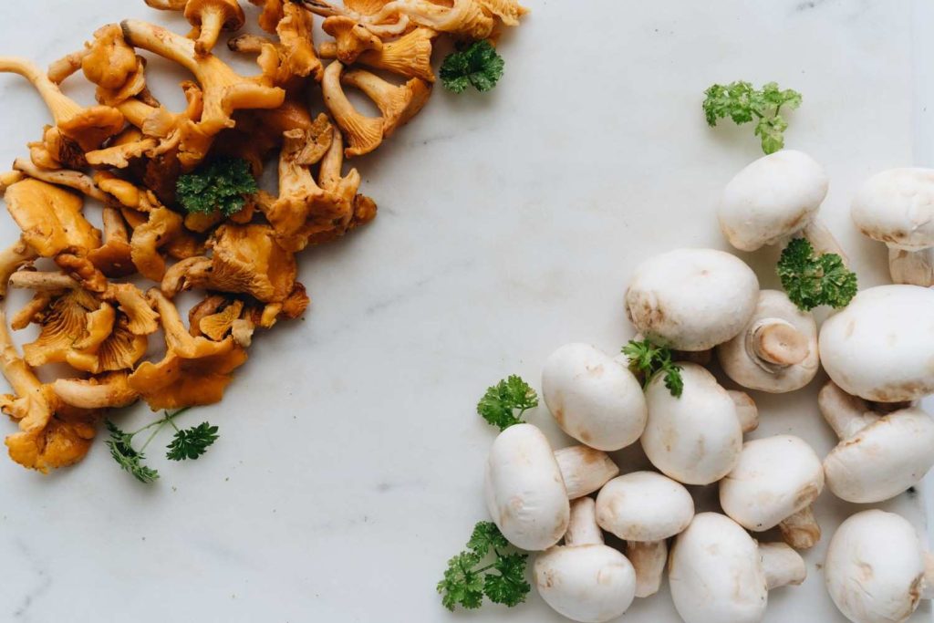 Health Benefits of Mushrooms